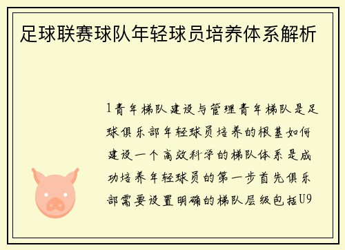 足球联赛球队年轻球员培养体系解析